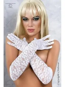 Handschuhe Weiß Cr3071 von...