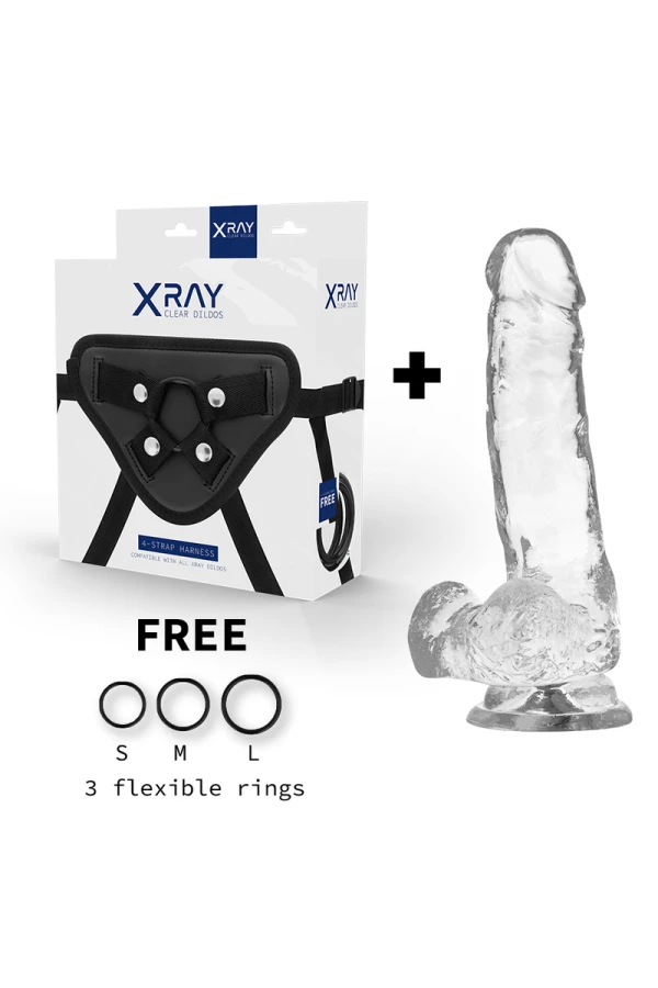 Geschirr + Klarer Penis mit Eier 18.5 cm -O- 3.8 cm von X Ray