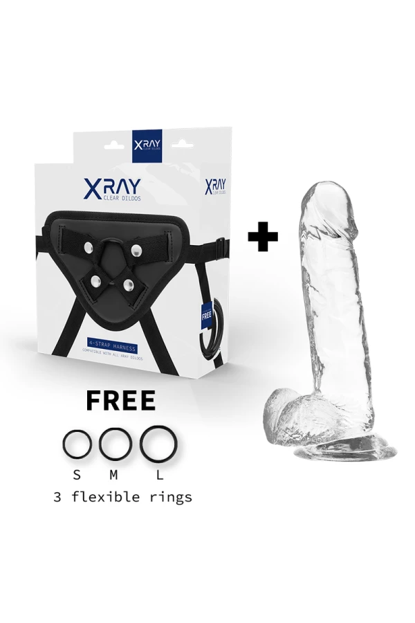 Geschirr + Klarer Penis mit Eier 20 cm -O- 4.5 cm von X Ray